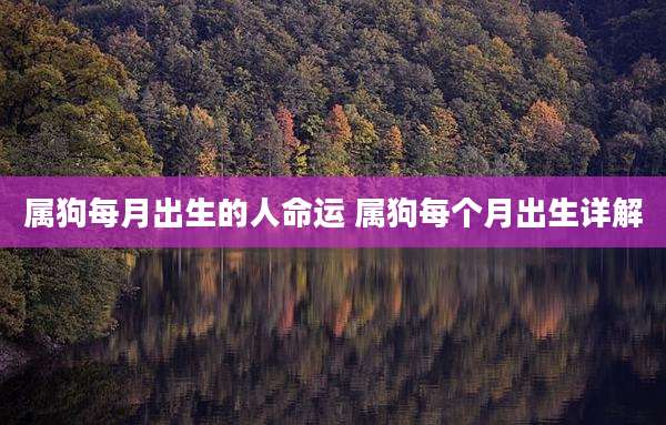 属狗每月出生的人命运 属狗每个月出生详解