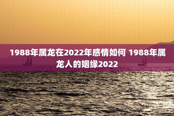 1988年属龙在2022年感情如何 1988年属龙人的姻缘2022