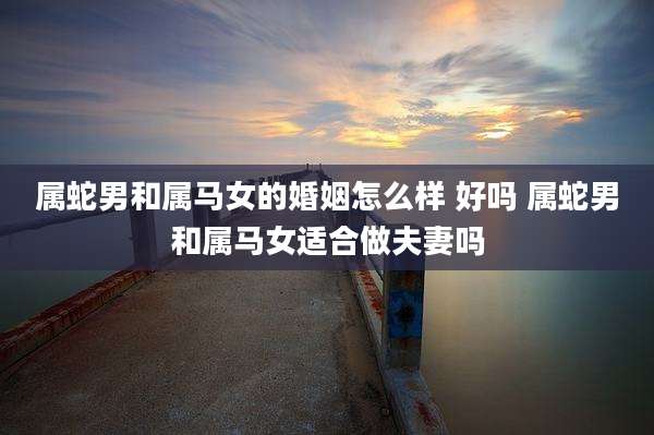 属蛇男和属马女的婚姻怎么样 好吗 属蛇男和属马女适合做夫妻吗