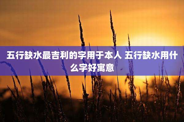 五行缺水最吉利的字用于本人 五行缺水用什么字好寓意