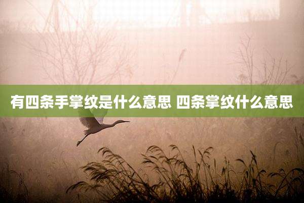 有四条手掌纹是什么意思 四条掌纹什么意思
