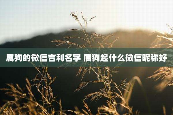 属狗的微信吉利名字 属狗起什么微信昵称好