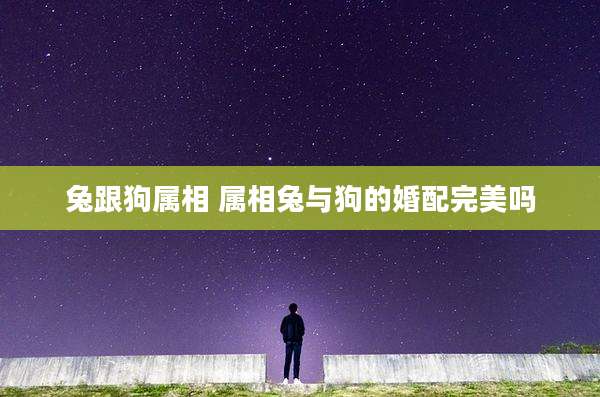 兔跟狗属相 属相兔与狗的婚配完美吗