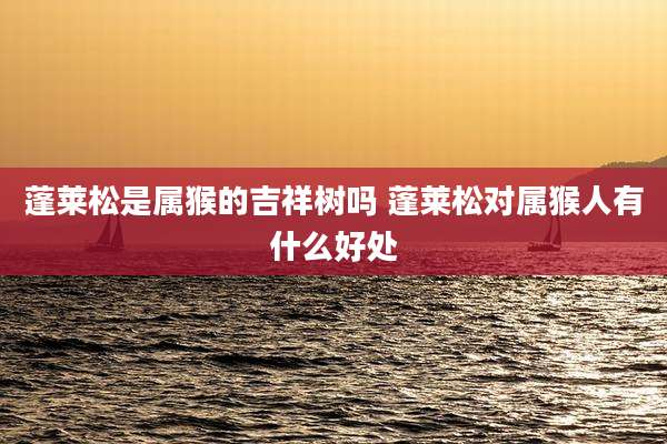 蓬莱松是属猴的吉祥树吗 蓬莱松对属猴人有什么好处