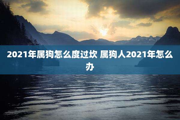 2021年属狗怎么度过坎 属狗人2021年怎么办