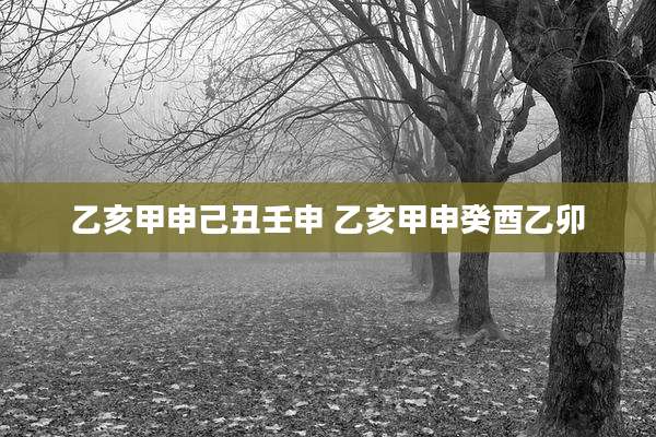 乙亥甲申己丑壬申 乙亥甲申癸酉乙卯