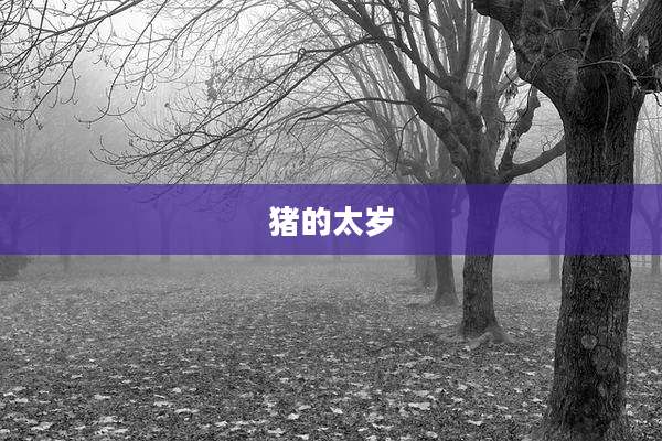 猪的太岁