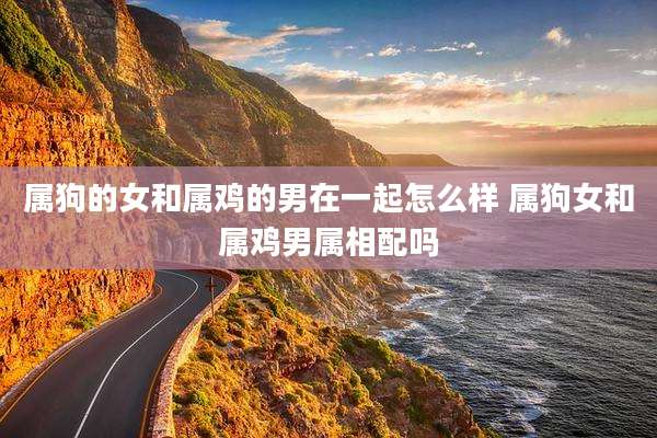 属狗的女和属鸡的男在一起怎么样 属狗女和属鸡男属相配吗