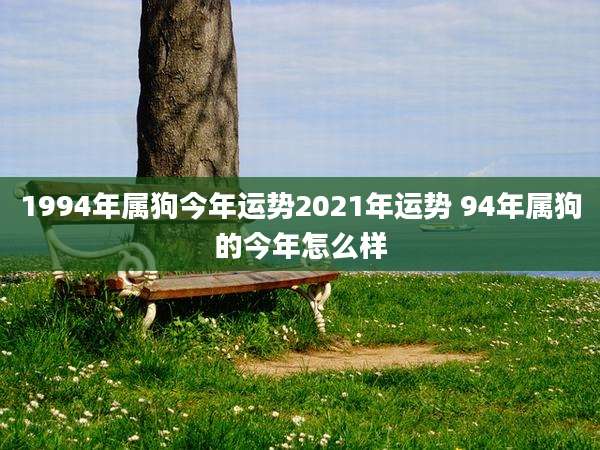 1994年属狗今年运势2021年运势 94年属狗的今年怎么样