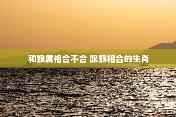 和猴属相合不合 跟猴相合的生肖