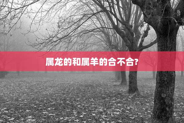 属龙的和属羊的合不合?