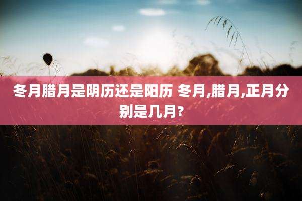冬月腊月是阴历还是阳历 冬月,腊月,正月分别是几月?