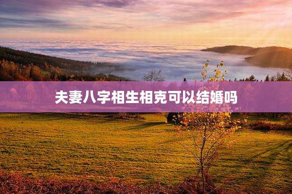 夫妻八字相生相克可以结婚吗