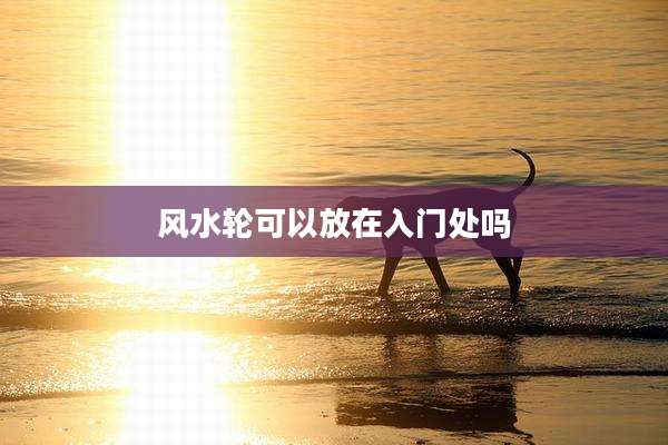 风水轮可以放在入门处吗