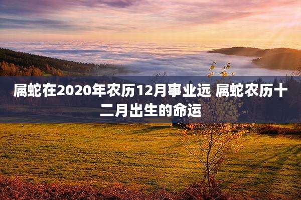 属蛇在2020年农历12月事业远 属蛇农历十二月出生的命运