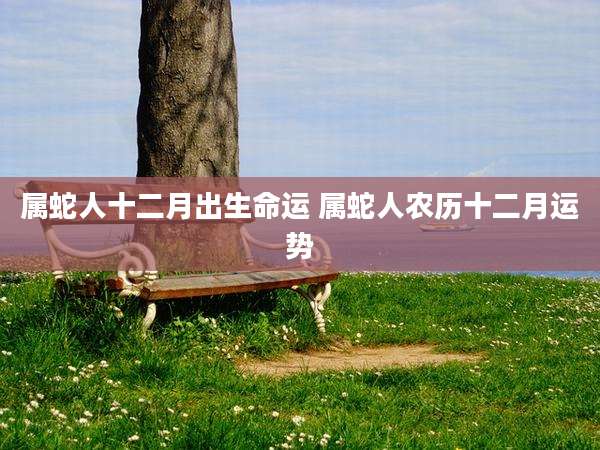 属蛇人十二月出生命运 属蛇人农历十二月运势