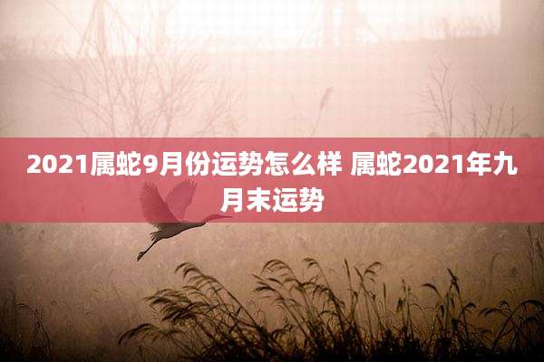 2021属蛇9月份运势怎么样 属蛇2021年九月末运势