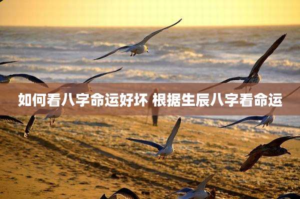 如何看八字命运好坏 根据生辰八字看命运
