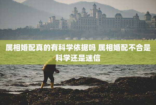 属相婚配真的有科学依据吗 属相婚配不合是科学还是迷信