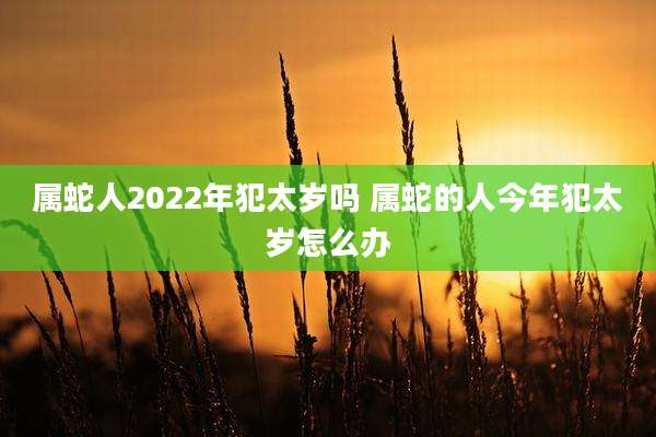 属蛇人2022年犯太岁吗 属蛇的人今年犯太岁怎么办