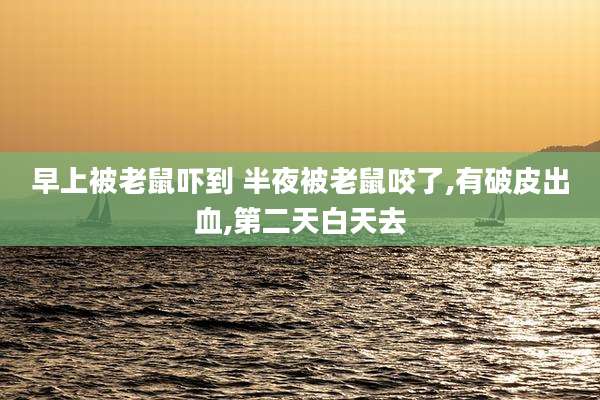 早上被老鼠吓到 半夜被老鼠咬了,有破皮出血,第二天白天去