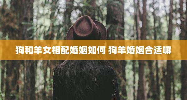 狗和羊女相配婚姻如何 狗羊婚姻合适嘛