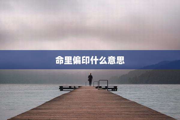 命里偏印什么意思