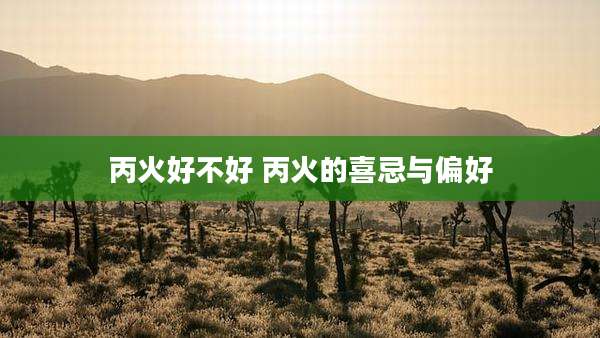 丙火好不好 丙火的喜忌与偏好