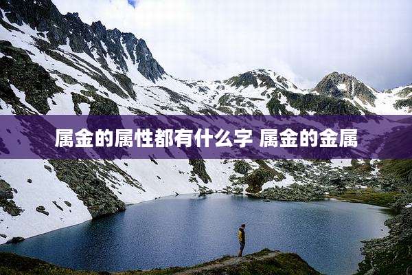 属金的属性都有什么字 属金的金属