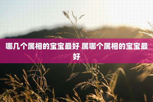 哪几个属相的宝宝最好 属哪个属相的宝宝最好