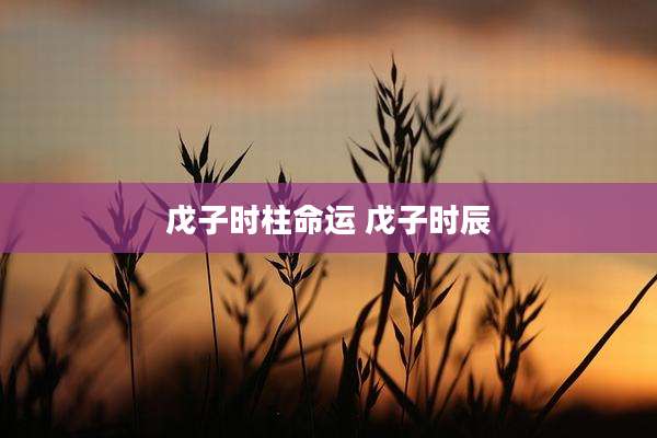 戊子时柱命运 戊子时辰
