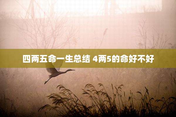 四两五命一生总结 4两5的命好不好