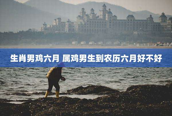 生肖男鸡六月 属鸡男生到农历六月好不好