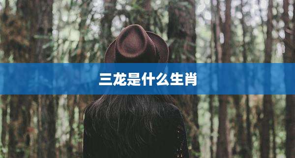 三龙是什么生肖