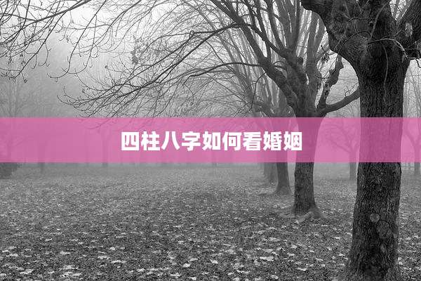 四柱八字如何看婚姻