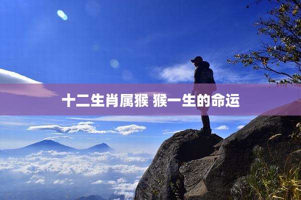 十二生肖属猴 猴一生的命运
