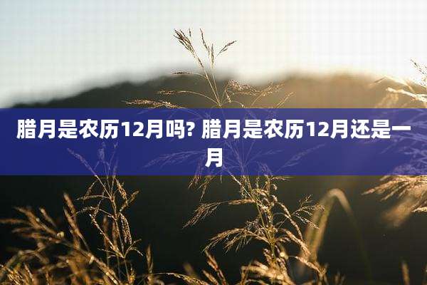腊月是农历12月吗? 腊月是农历12月还是一月