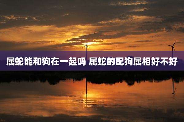 属蛇能和狗在一起吗 属蛇的配狗属相好不好