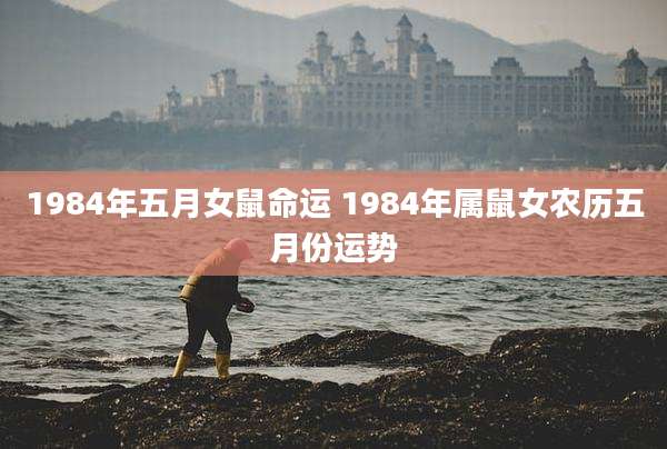 1984年五月女鼠命运 1984年属鼠女农历五月份运势