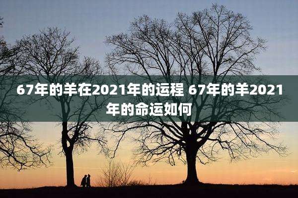 67年的羊在2021年的运程 67年的羊2021年的命运如何