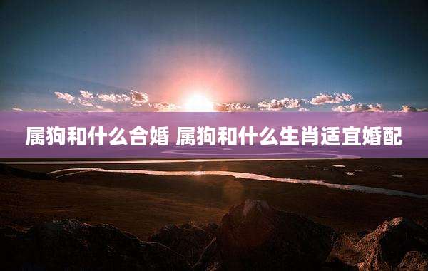 属狗和什么合婚 属狗和什么生肖适宜婚配