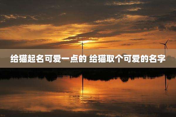 给猫起名可爱一点的 给猫取个可爱的名字