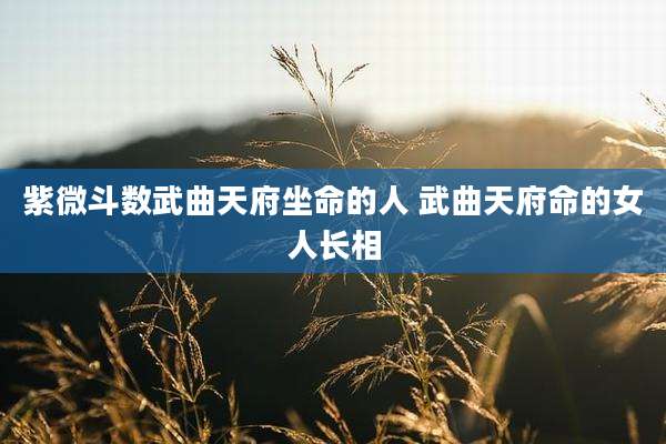 紫微斗数武曲天府坐命的人 武曲天府命的女人长相