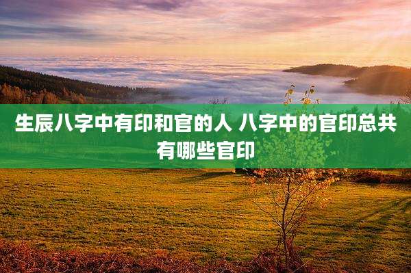 生辰八字中有印和官的人 八字中的官印总共有哪些官印