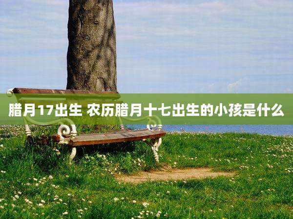 腊月17出生 农历腊月十七出生的小孩是什么