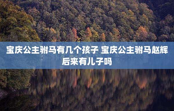宝庆公主驸马有几个孩子 宝庆公主驸马赵辉后来有儿子吗