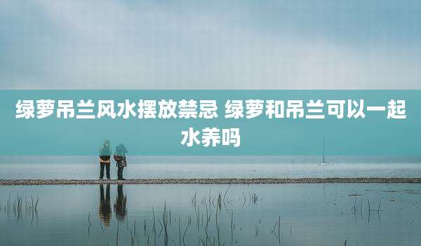 绿萝吊兰风水摆放禁忌 绿萝和吊兰可以一起水养吗