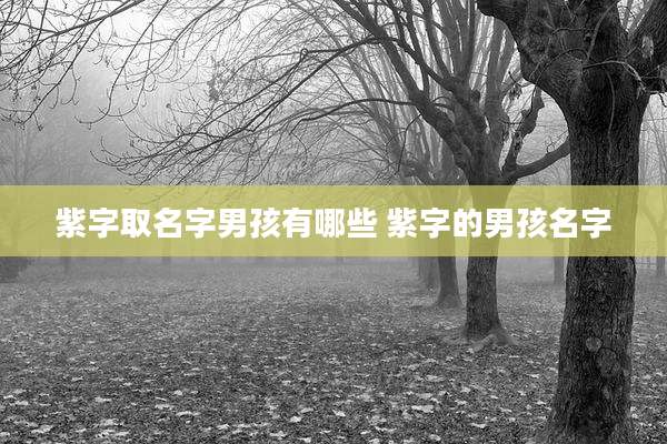 紫字取名字男孩有哪些 紫字的男孩名字