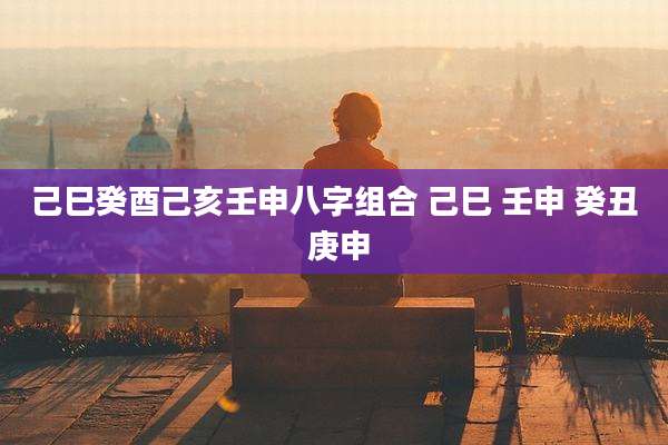 己巳癸酉己亥壬申八字组合 己巳 壬申 癸丑 庚申