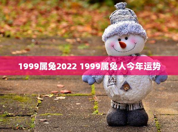 1999属兔2022 1999属兔人今年运势